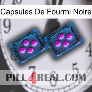 Black Ant Capsules 03